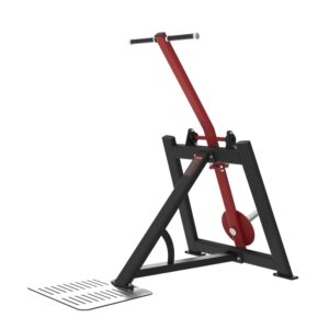 Standing Triceps Extension & Dip MP8150