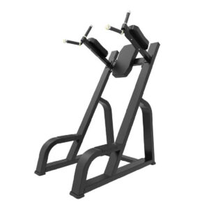 Vertical Knees Up/Dip TB47