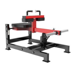 Seated Calf Machine TM23